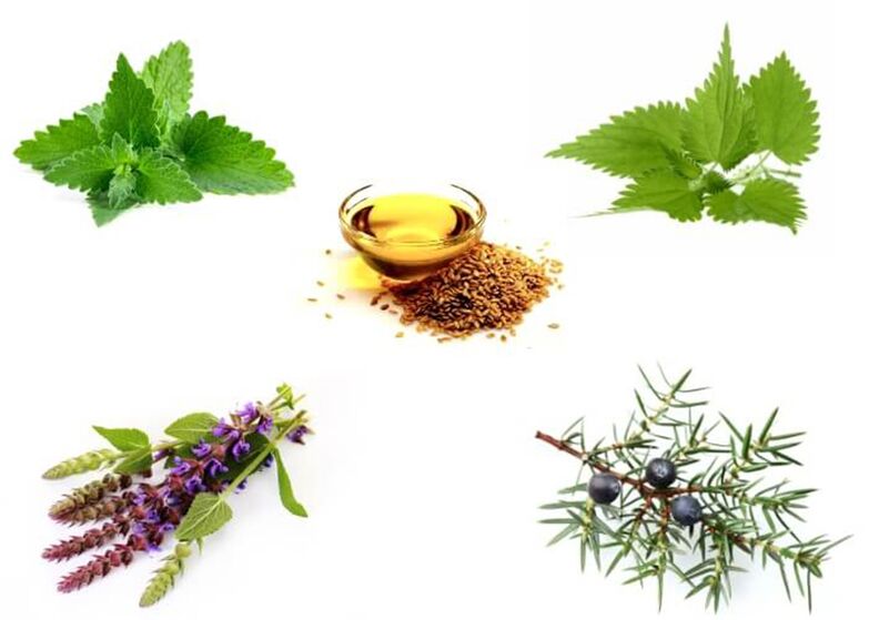 Miontas, Nettle, Thyme, Juniper agus Ola Luain
