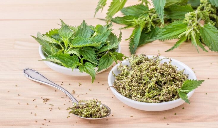 síolta nettle le haghaidh potency