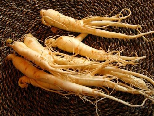 fréimhe ginseng chun potency a mhéadú tar éis 60